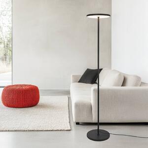 LED stojacia lampa Demy, čierna, výška 170 cm, kov, Čierna, Obývacia izba / jedáleň, Hliník, Moderný, Stolová lampa