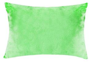 XPOSE® Mikroplyšová obliečka na vankúš - letná zelená 50x70 cm