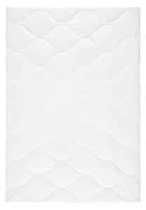 PRIKRÝVKA, 140/200 cm, polyester Sleeptex - Prikrývky & vankúše