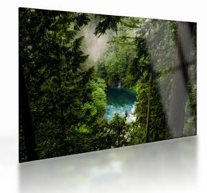 Sklenený obraz - Priezor medzi stromami (70x50 cm)