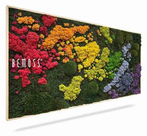 Machový obraz BEMOSS® ORTHO IRIS - 40 x 40 cm