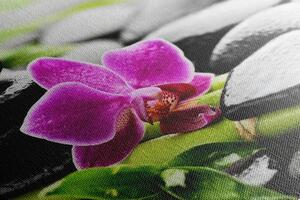 Obraz wellness zátišie s fialovou orchideou