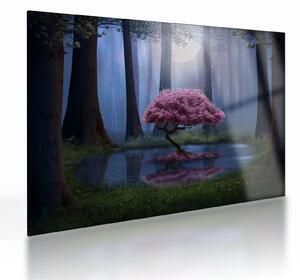 Sklenený obraz - Magická noc (70x50 cm)