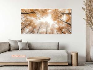 Karlsdesign.sk - Obraz na stenu | Jesenné koruny stromov - 20x40