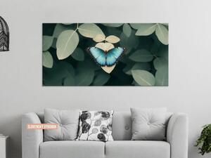 Karlsdesign.sk - Obraz na stenu | Dotyk modrého motýľa - 20x40