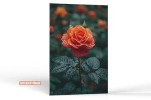 Karlsdesign.sk - Farebný obraz na stenu | Orosená krása - 20x30