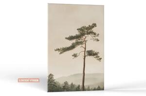 Karlsdesign.sk - Farebný obraz na stenu | Borovicová samota - 20x30