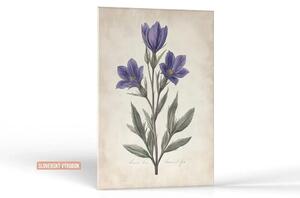 Karlsdesign.sk - Farebný obraz na stenu | Botanická krása - 20x30