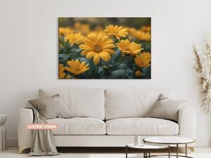 Karlsdesign.sk - Farebný obraz na stenu | Žiara kvetín - 20x30