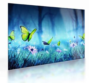 Sklenený obraz - Mystická lesná čistina (70x50 cm)
