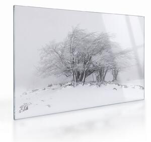 Sklenený obraz - Biela zima (70x50 cm)