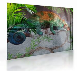 Sklenený obraz - Chameleon (70x50 cm)
