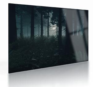 Sklenený obraz - Paprade v mesačnom svite (70x50 cm)