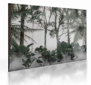 Sklenený obraz - Jungle v rannej hmle (70x50 cm)