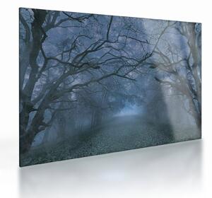 Sklenený obraz lesa v hmle (70x50 cm)