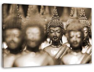 Obraz na plátne Budha v dave Rozmery: 60 x 40 cm
