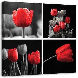 Obraz na plátne Sada červených tulipánov Rozmery: 30 x 30 cm