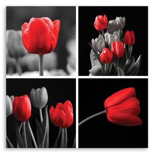 Obraz na plátne Sada červených tulipánov Rozmery: 30 x 30 cm