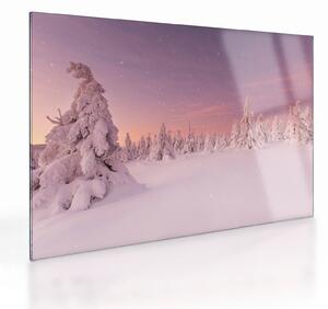 Sklenený obraz - Stromy pod snehovou prikrývkou (70x50 cm)