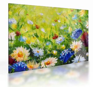 Sklenený obraz rozkvitnutej lúky, olejomaľba (70x50 cm)
