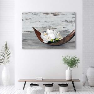 Obraz na plátne Biele kvety orchidey Rozmery: 60 x 40 cm