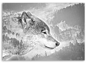 Obraz na plátne Vlk na snehovom pozadí Rozmery: 60 x 40 cm