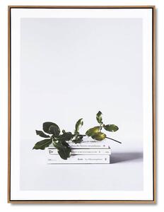 MUZZA Obraz livre 60 x 80 cm