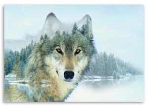 Obraz na plátne Vlk na pozadí hory Rozmery: 60 x 40 cm