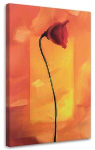 Obraz na plátne Osamelý kvet maku Rozmery: 40 x 60 cm