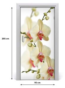Samolepiace fototapety na dvere orchidea 95x205 cm