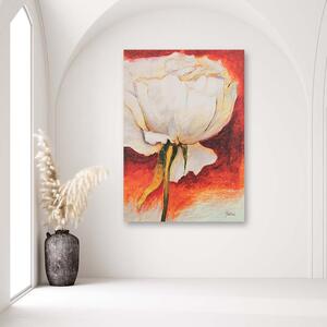 Gario Obraz Pekná biela pivonka Veľkosť: 40 x 60 cm, Prevedenie: Panelový obraz