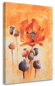 Obraz na plátne Kvitnúce maky ako ručne maľované Rozmery: 40 x 60 cm