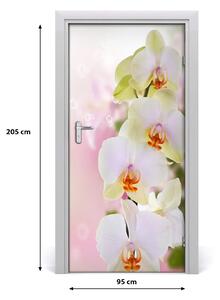Samolepiace fototapety na dvere biela orchidea 95x205 cm