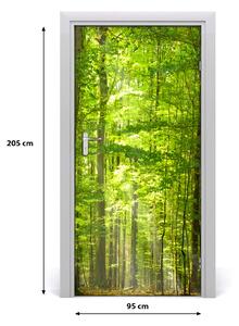 Fototapeta na dvere bukový les 95x205 cm