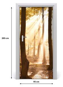 Fototapeta na dvere samolepiace les jeseň 95x205 cm