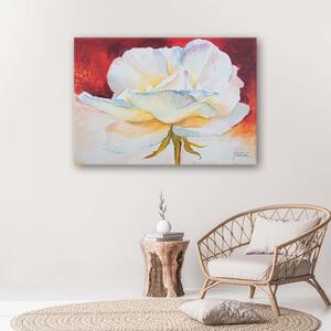 Obraz na plátne Biely kvet pivonky Rozmery: 60 x 40 cm