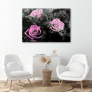 Obraz na plátne Ružové ruže v tajnej záhrade Rozmery: 60 x 40 cm