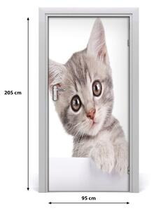 Samolepiace fototapety na dvere sivá mačka 95x205 cm