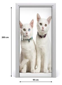 Samolepiace fototapety na dvere Dve biele mačky 95x205 cm