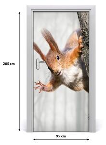 Samolepiace fototapety na dvere Veverička na strome 95x205 cm