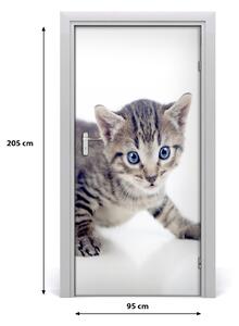Samolepiace fototapety na dvere malá mačka 95x205 cm