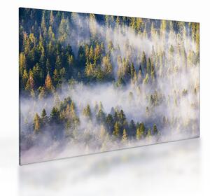 Sklenený obraz stromov v hmle (70x50 cm)