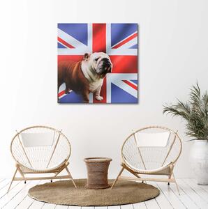 Obraz na plátne Anglický buldog na pozadí vlajky Rozmery: 30 x 30 cm