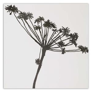 Obraz na plátne Čierny tieň Cyperus Rozmery: 30 x 30 cm