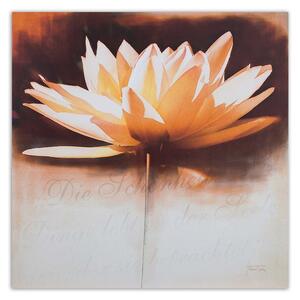 Obraz na plátne Lekno kvet Rozmery: 30 x 30 cm
