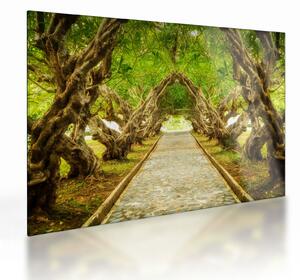 Sklenený obraz - Živý tunel z plumérií (70x50 cm)