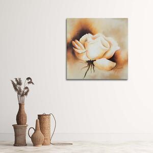 Obraz na plátne Púčik bielej ruže Rozmery: 30 x 30 cm
