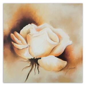 Obraz na plátne Púčik bielej ruže Rozmery: 30 x 30 cm