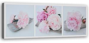 Obraz na plátne Ružové kvety pivonky Rozmery: 90 x 30 cm