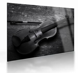 Sklenený obraz - Viola (70x50 cm)